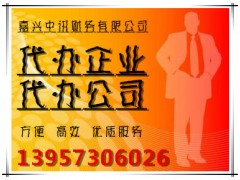 嘉兴嘉善代理注册公司办理公司营业执照图1