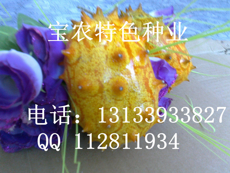 2014中国十大最有种植前景的水果之火参果