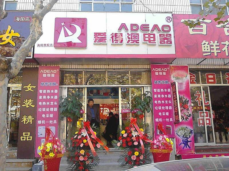 加盟爱得澳时尚电器，6大系列上百款产品，一城一店招商中！