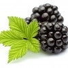黑莓食用香精