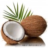 耀奇椰子食用香精