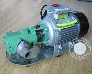 WCB齿轮油泵 手提式油泵 小型齿轮泵 电动齿轮油泵