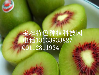 水果营养排行榜——红心猕猴桃排名第一