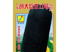 广东创大巨丰II号冬瓜种子F-919图1