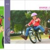 2014DSLAND高景观婴儿推车、儿童自行车广州展信息