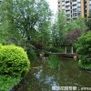成都温江有哪家公司做屋顶绿化比较有经验，推荐艾迈特屋顶花园
