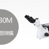 供应上海舜宇金相显微镜 倒置金相显微镜 XD30M