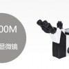上海IE200M 舜宇倒置金相显微镜 IE200厂家首选思长约光学仪器