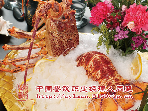 全国连锁 餐饮策划 餐饮筹备 餐饮运作