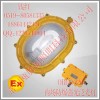 海洋王BFC8120防爆应急照明灯泛光灯
