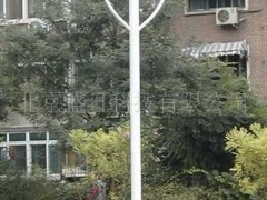 批发供应优质低价太阳能庭院灯 超量LED灯质保2年图2