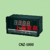 CNZ-5000普通型智能温控仪紫泉电气