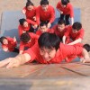 十大体验式培训品牌泰益有道拓展训练培性价比最高
