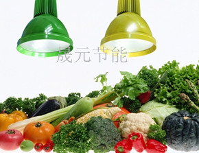 LED超市生鲜灯，蔬菜生鲜灯，猪肉生鲜灯，led水果灯