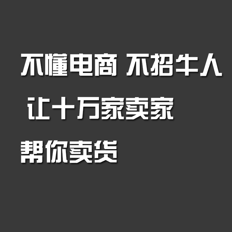 让三十万网店替你卖货。