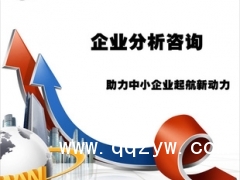 公司厂家自有产品市场需求分析高级技术支持淘宝店代运营特价托管图1
