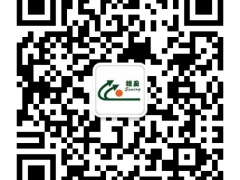 供应ST-M688A电脑切捆条机图2