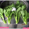 【低价销售】生菜菜芯脱水机 50kg离心式蔬菜脱水机