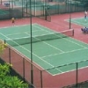 塑胶网球场|塑胶跑道|塑胶乒乓球场