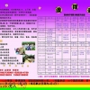 扬州广陵儿童冬令营报名13327944005