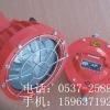 DGS175/127矿用隔爆型投光灯