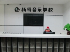 常德杨杨音乐学校常年招生！~图1