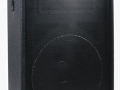 SK-AUDIO ST-15/12 全频音箱 视频会议音箱图1