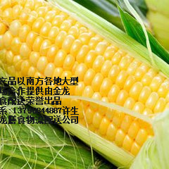 长安蔬菜配送公司长安学校工厂食堂承包蔬菜配送