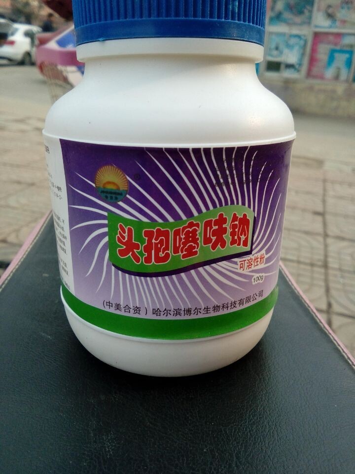 头孢噻呋钠可溶性粉。