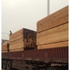 上海哪里的新西兰辐射松原木加工各种尺寸木方板材