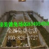 草食性动物黑豚鼠养殖