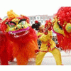 烟台舞狮是龙狮文化传媒的必修课