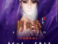 安顺哪里有做演出门票,价格多少?图1