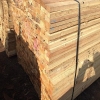 我们有大量的铁杉表面碳化木  防腐木木方上海丰龙木业