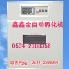 鑫鑫全自动孵化机www.xinxinfuhua.com家禽孵化机特禽孵化机
