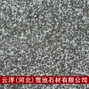 广东森林绿-广场园林装饰石材森林绿厂家雪池最专业