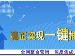 怀化网络推广什么牌子好 大巴山推广软件图1