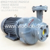 惠州YUANSHIN 高温油泵YS-35F 5.5KW耐高温200度热油泵公司
