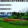 德州新景源园林绿化养护管理有限公司价格低廉
