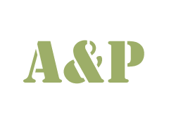 中文域名介绍 www.aps.cn.com图1