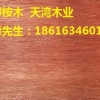 供应合肥柳桉木生产厂家，合肥柳桉木廊架，柳桉木户外地板经销商