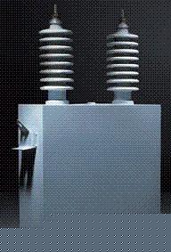 浙江高压并联电容器BAM12√3-334-1W