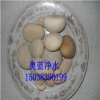 鹅卵石厂家电话咨询