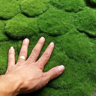牡丹江市 仿真植物墙绿色假草坪 植毛海棉青苔草皮 苔藓