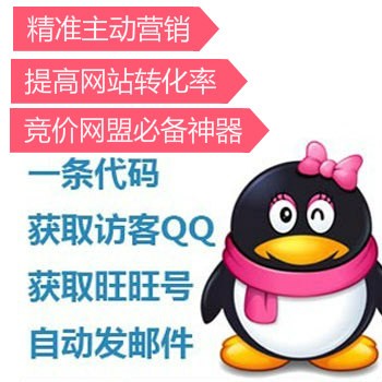 抓取访客抓取QQ号旺旺手机号精准营销提高网站转化率