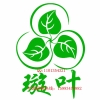 中草药除甲醛 草本 中药生物制剂 璇叶科技 全国免费加盟中