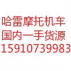 茂名哈雷摩托车XL1200X价格 咨询威信15910739983