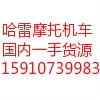 湛江哈雷戴纳街霸 更多图片查看Q 1263798562