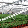 花卉大棚温室建造首选青州鑫艺温室工程【生态温室建造】