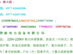 JPBHY5CZ1-12.7/41*29图1